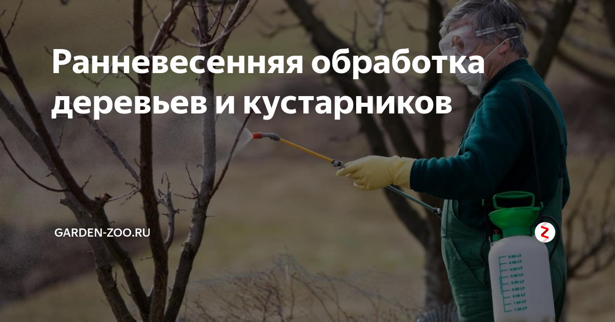 ранневесенний как пишется