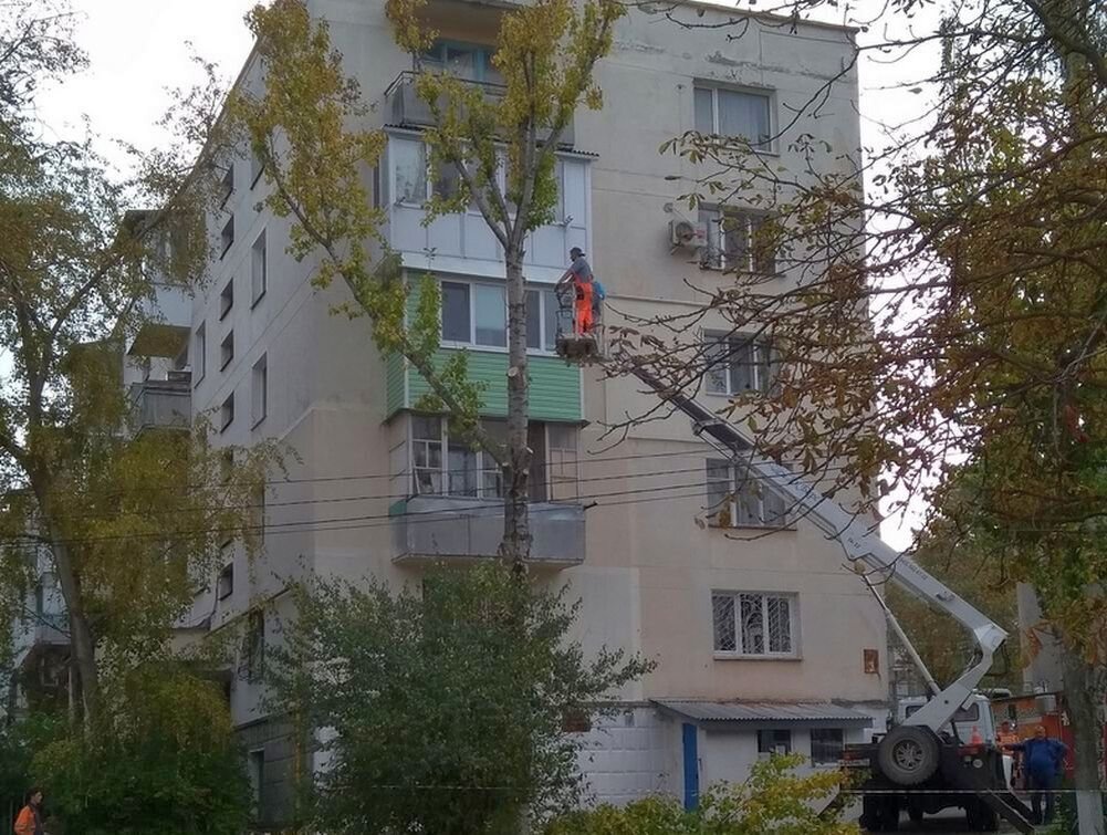  Спил тополя на улице генерала Хрюкина. Фото: sevastopol.su