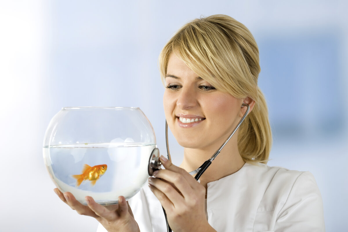 Doctor at Fishing
