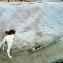 Я говорю вылезай, вылезай быстро...