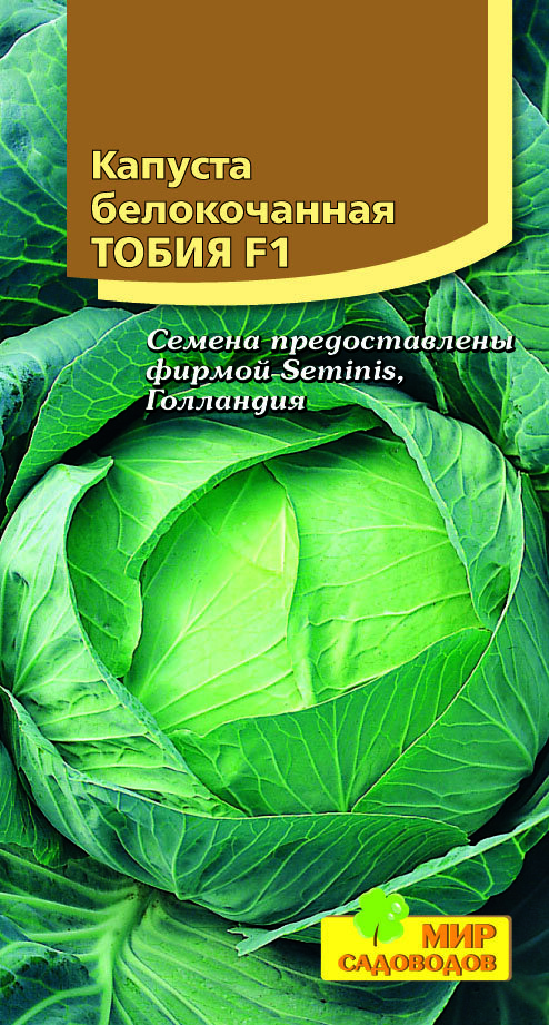 Капуста антикиллер описание сорта фото отзывы