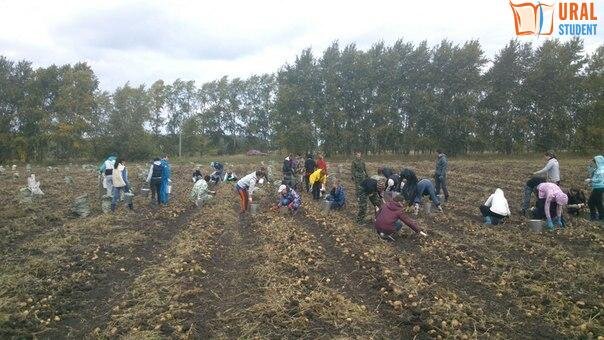 Фото http://www.uralstudent.ru