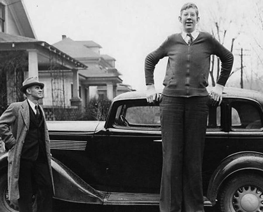 Самый высокий человек в истории человечества фото