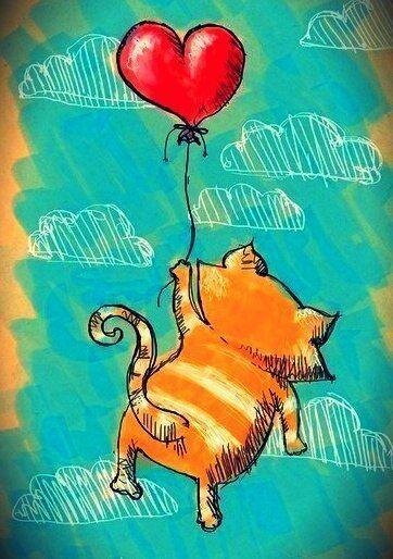 Фото из открытого источника