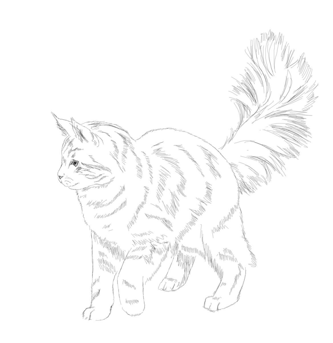 Нарым-подросток. Пока еще не заматеревший, грациозный и удивительно нежный мальчик. Ненадолго, брутальный котомачо уже прорывается через дивное создание мощными лапами.