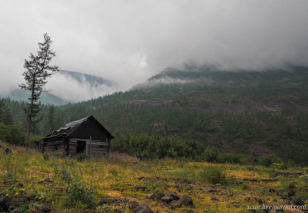 Наедине с тайгой фото избы