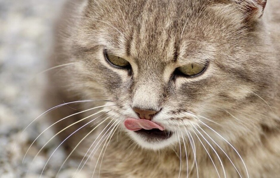 Фото с сайта https://billionnews.ru