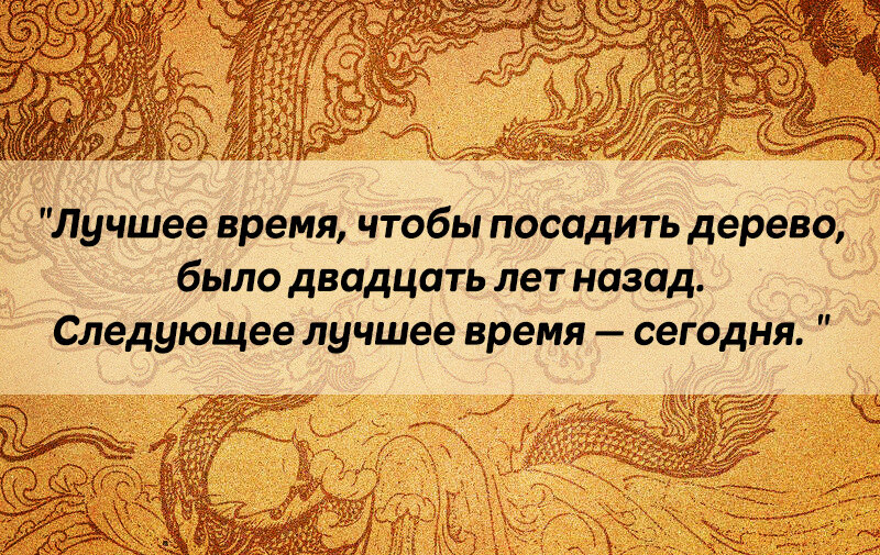 7 жизненных уроков. Уроки мудрости. Мудрые уроки. Китайская мудрость. Китайская мудрость о жизни.