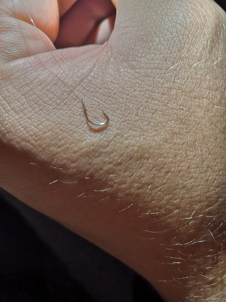 Идеальный крючок для ловли на мотыля