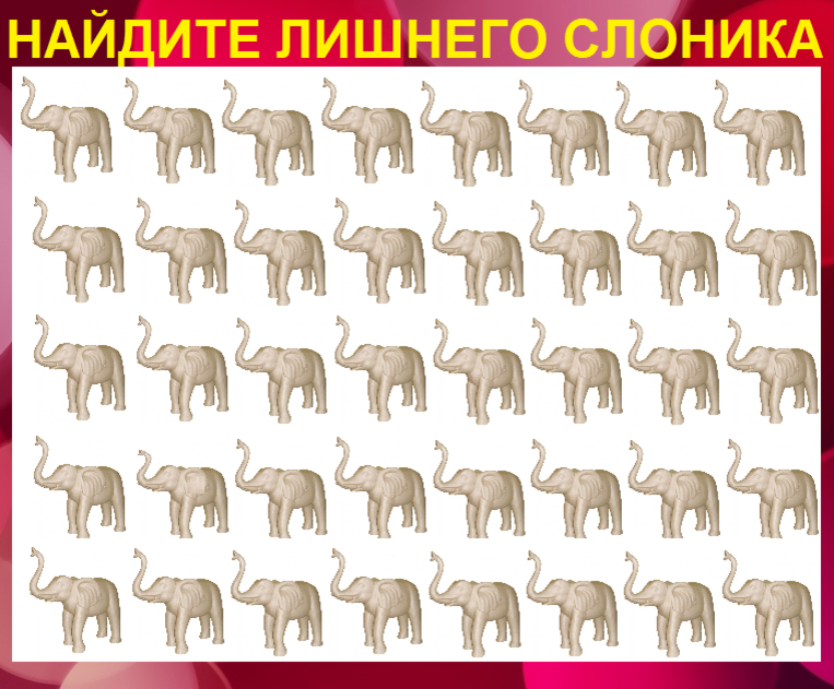Найти 13 животных на картинке со слоном ответ