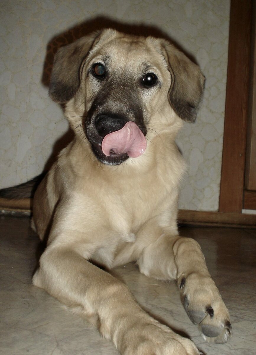 Авторское фото.