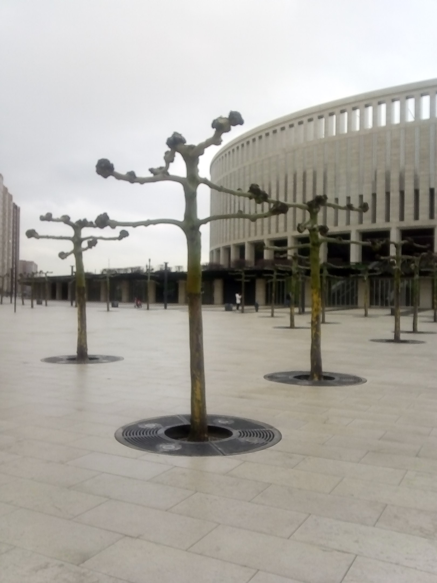 фото мое-март 2018 года Стадион Галицкого (вдалеке виднеется ж\к Панорама