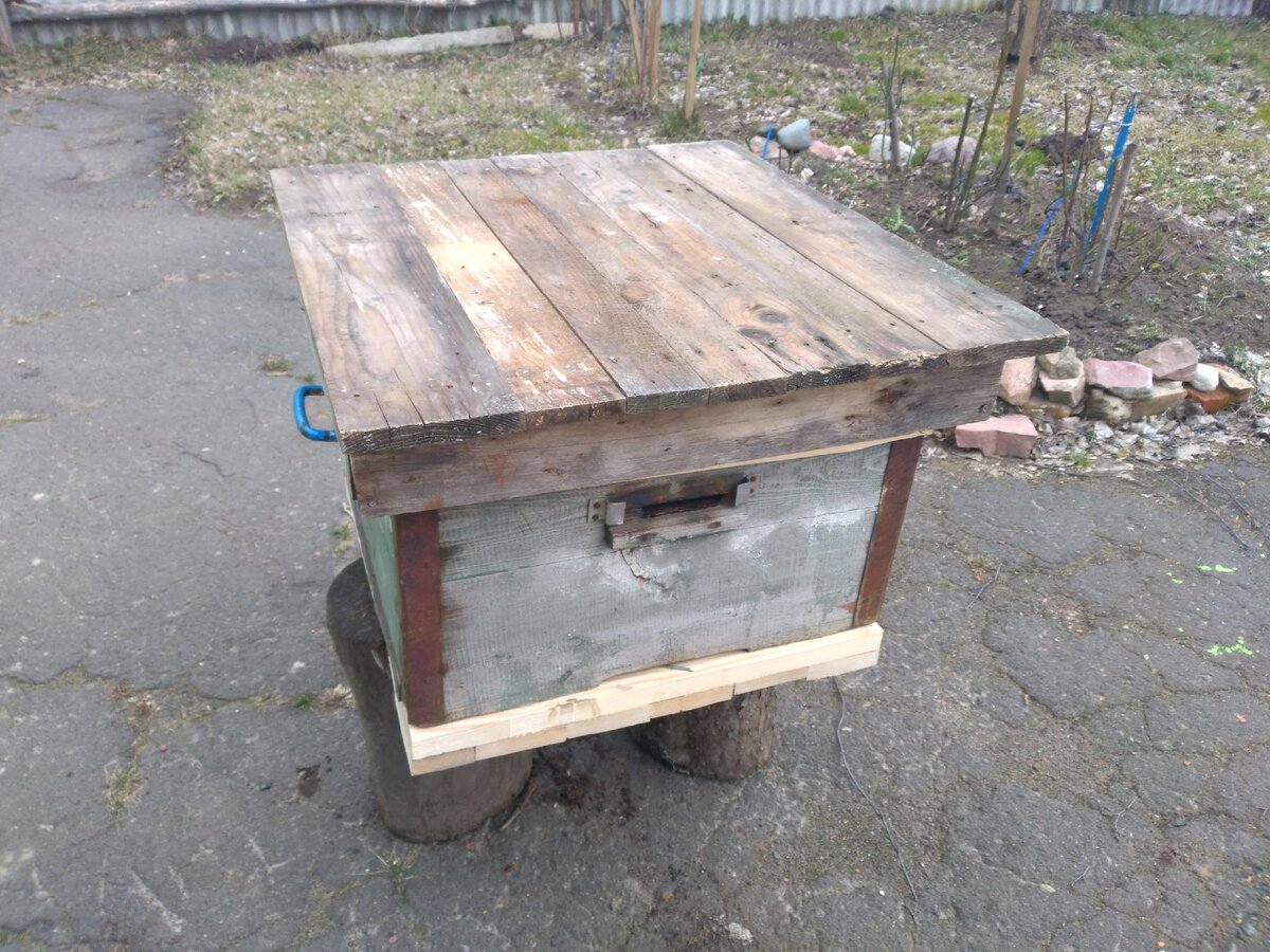 Старый улей