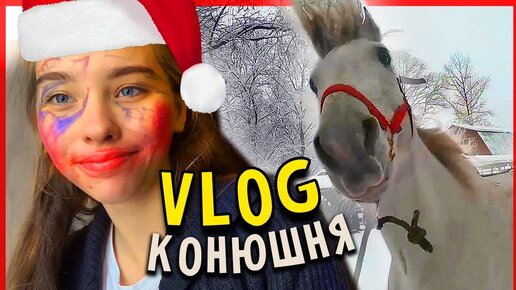 Vlog на Конюшне / Конкурная тренировка, Бейкстейдж