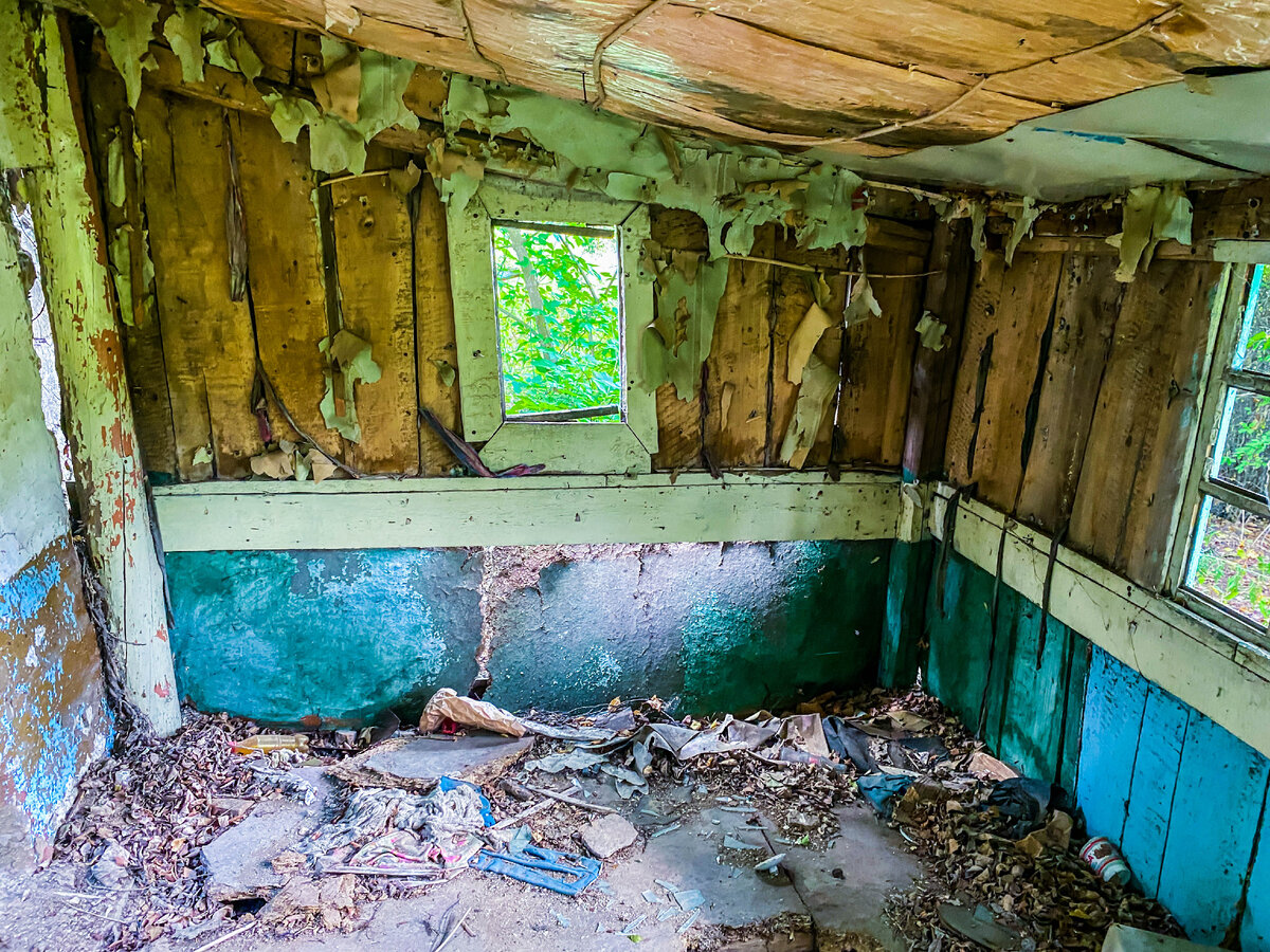 Заброшенный дом в зарослях в вымирающем селе. Зашли внутрь, чтобы ...