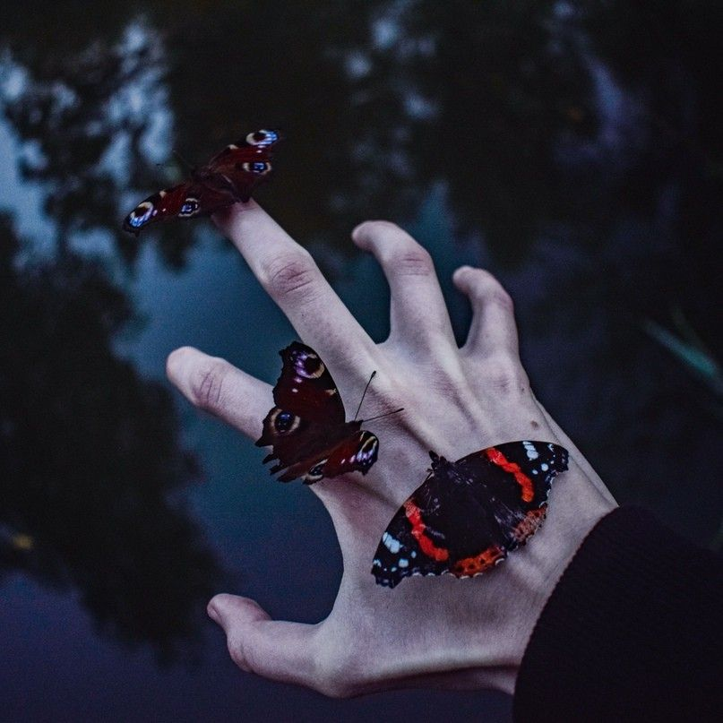 Иногда самое страшное - вовсе не то, чего боится сам человек. tr.pinterest.com