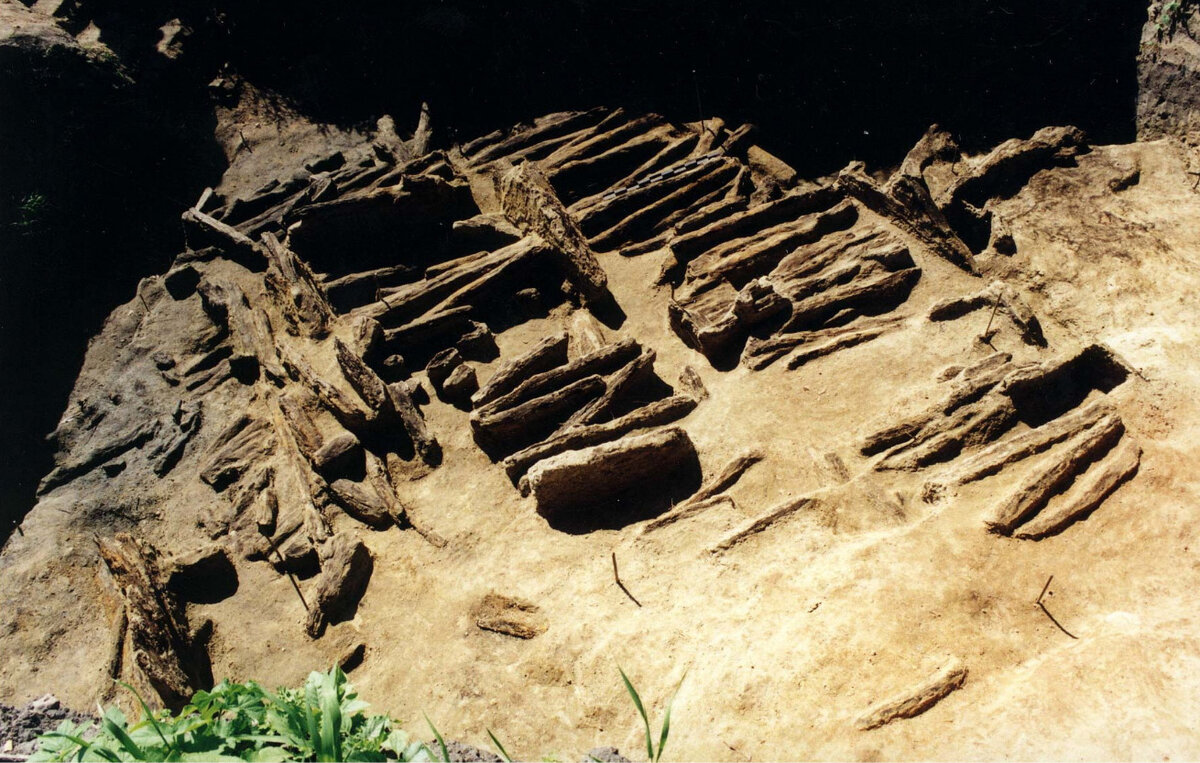 Остатки дубовых оборонительных конструкций / archeo.ru
