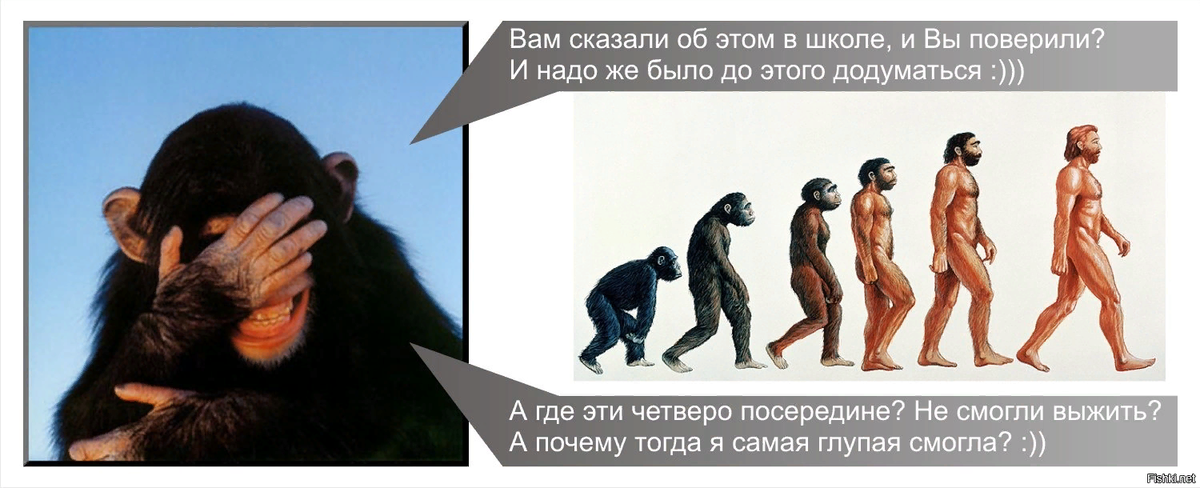 Какой то человек есть. Человек произошел от обезьяны. От обезьяны к человеку
