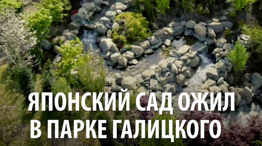 Парк галицкого японский сад карта