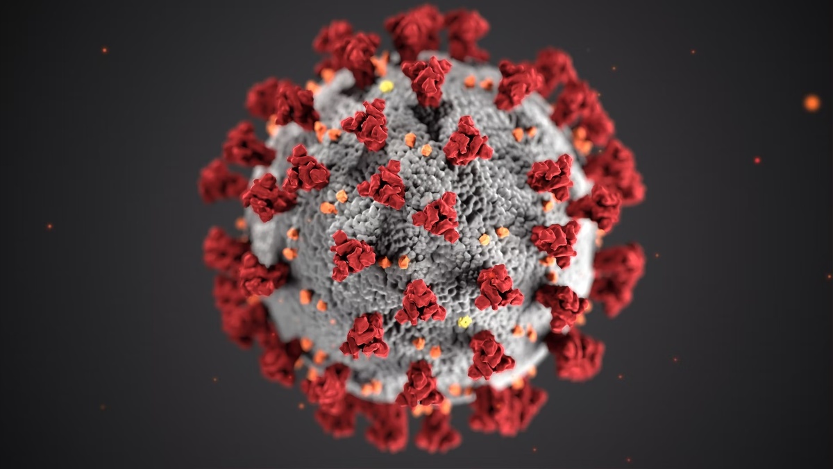   CDC. Public domain