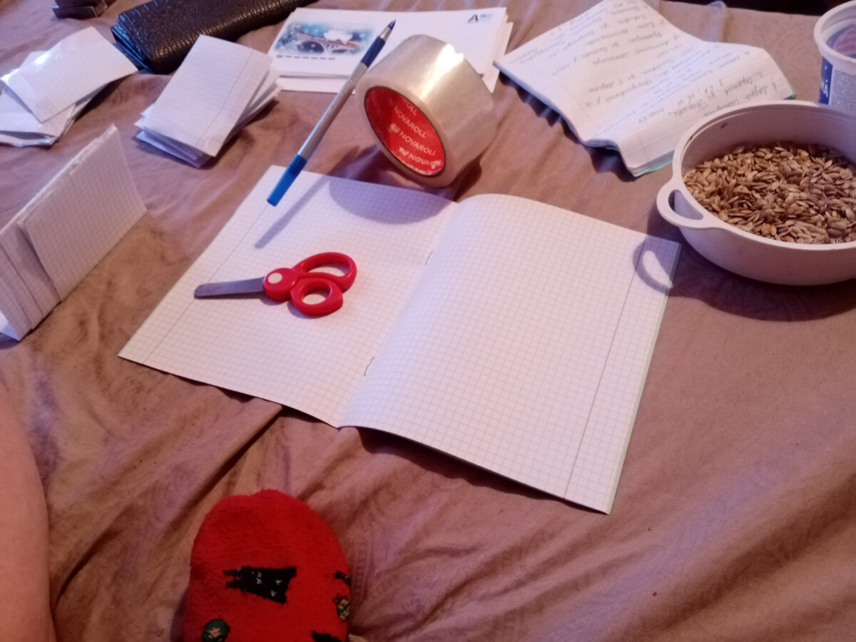 Зараза. Сходили на рыбалку | Живу по-деревенски | Дзен