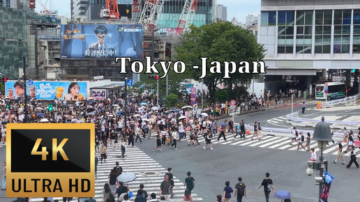 Прогулка по Токио и району Сибуя, Япония, 4к + Бонус — Tokyo Skytree