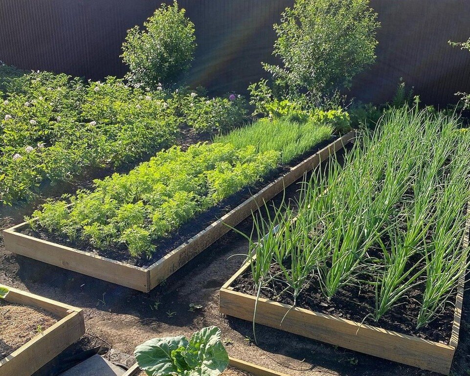    Соцсети блогера _dom_s_kotikami