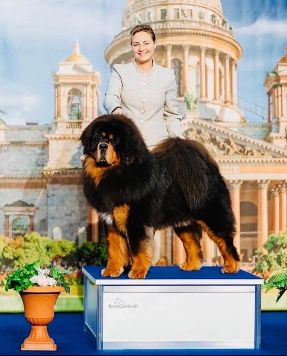 Те самые, виновники торжества🥴