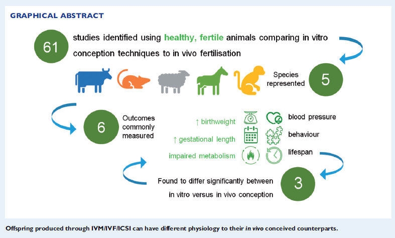 С момента рождения первого ребенка с использованием технологии ЭКО в 1978 году более 10 миллионов детей были зачаты с помощью ВРТ. Хотя большинство аспектов ВРТ изучалось на животных моделях, внедрение этих технологий в клиническую практику осуществлялось без комплексной оценки их долгосрочной безопасности. Мониторинг этих технологий с течением времени выявил различия в физиологии детей, рожденных с помощью ВРТ, однако из-за самого бесплодия и сопутствующих патологий тех, кто прибегнул к программе ЭКО, было сложно делать определенные выводы. 