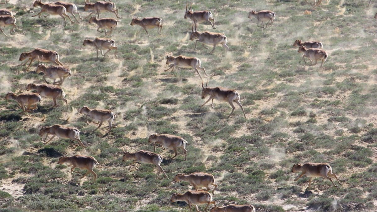    Фото: Комитет по ЧС МВД РК. Август Макаров