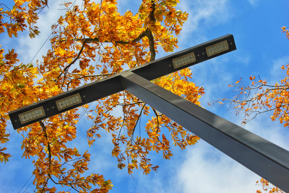Разумное светотехническое планирование освещения борется со световым загрязнением. На фото - светодиодный светильник VL-PARK