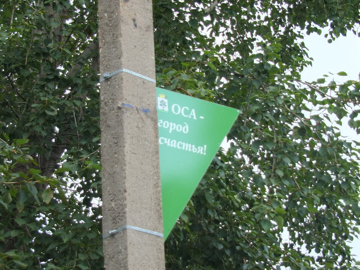 Память оса пермский
