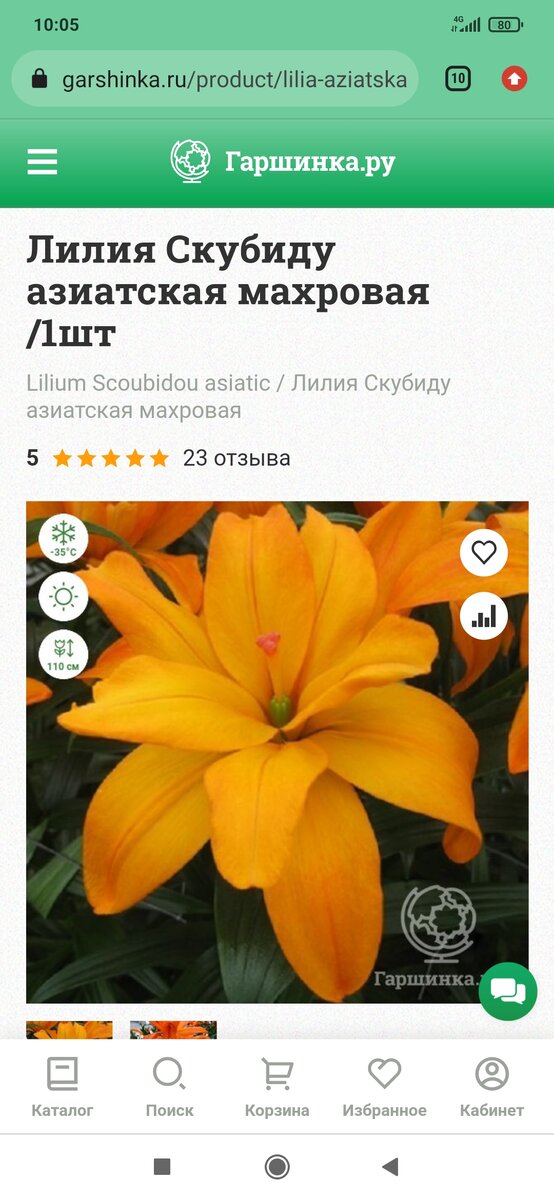 Фото с сайта.