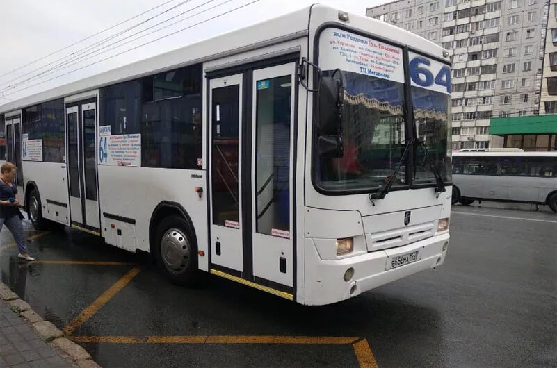 Новые автобусы. Общественный транспорт новосибирск. Автобусы города новосибирск. Автобус 41 новосибирск. Автобусы в новосибирске.