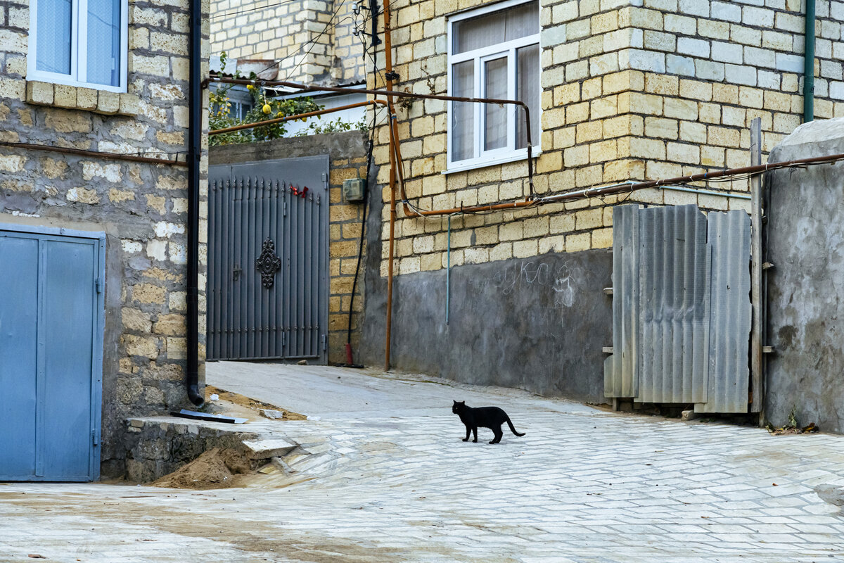гостевые дома в горном Дагестане всегда готовы распахнуть свои двери для путников