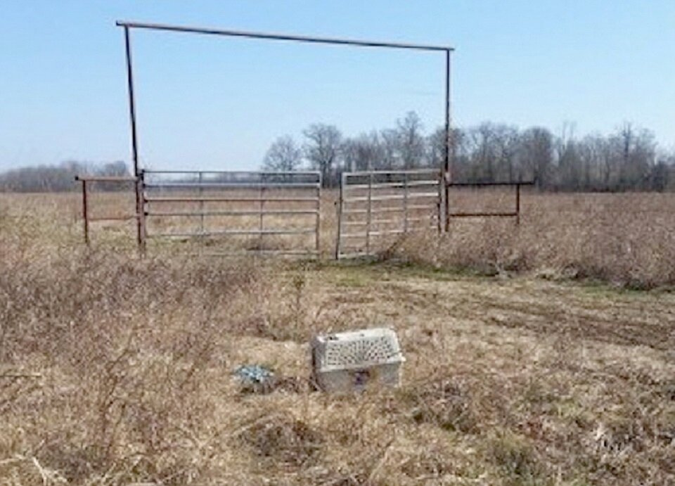 Переноска, в которой обнаружили выброшенную собаку