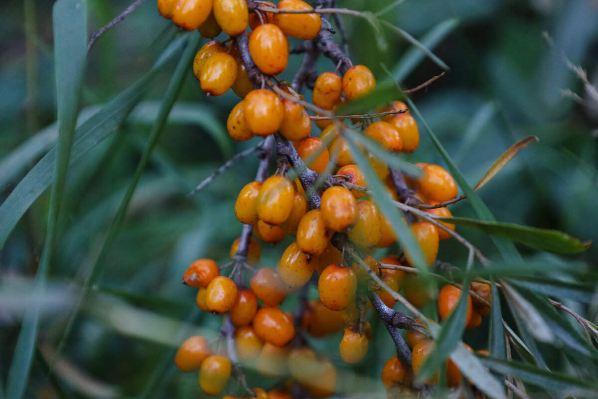 Фото: Elena Mayorova/Global Look Press