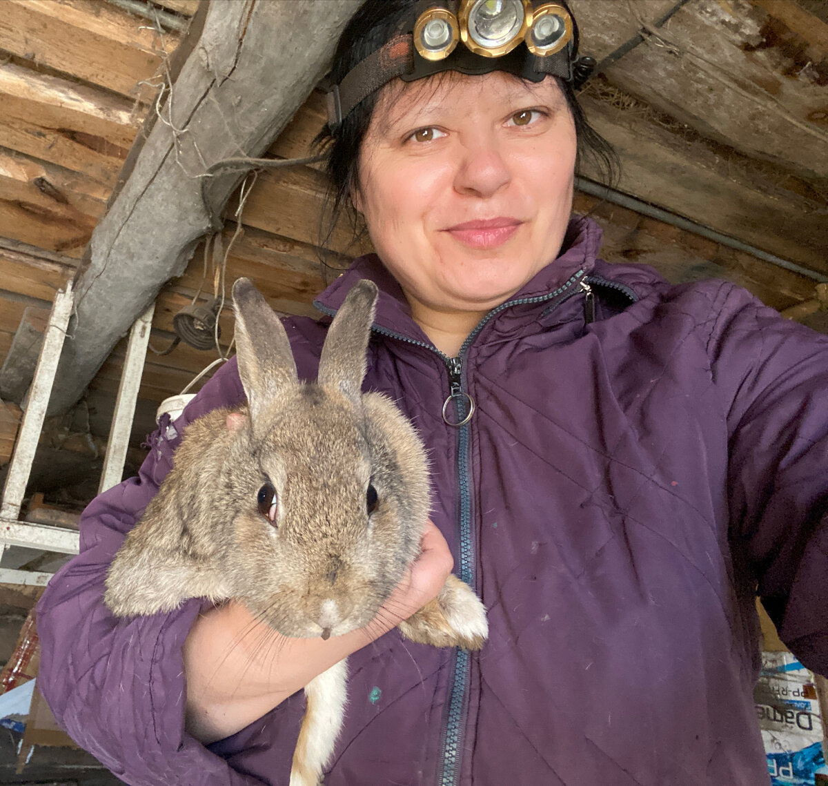 Так всё начиналось, в апреле. Отловила чужого заблудшего зайку у себя в сарайке. 