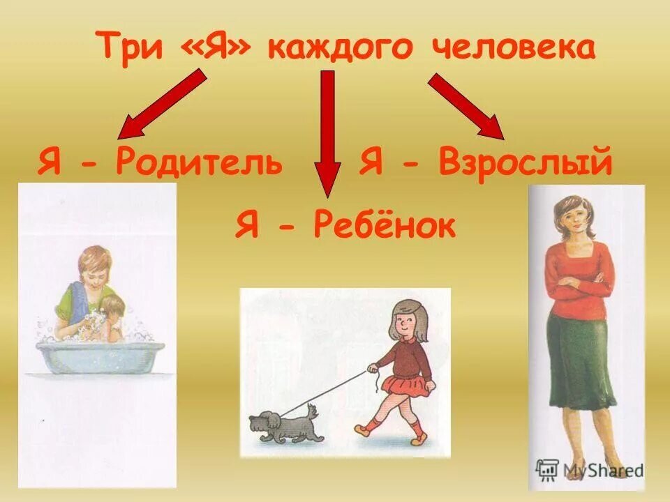 Из открытых источников