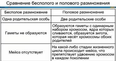 Сходства и различия бесполого полового размножения. Половое размножение таблица. Характеристики полового размножения. Сравнение бесполого и полого размножения таблица. Сравнительная характеристика полового и бесполого размножения