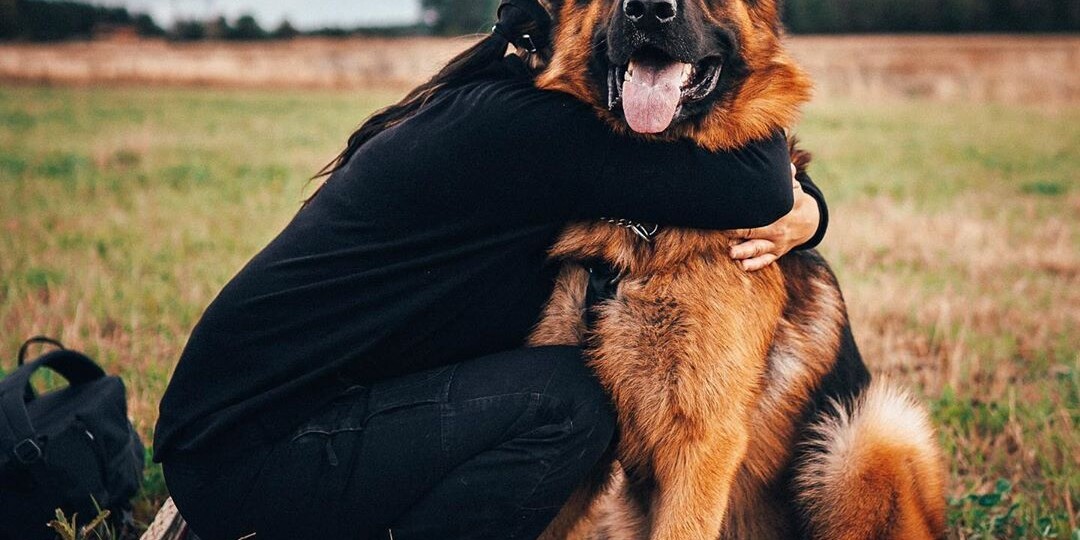 Усыпить собаку — это грех?