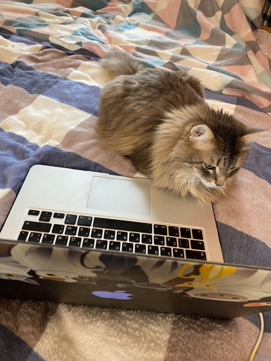 Мой Контент-Мейкер за работой 