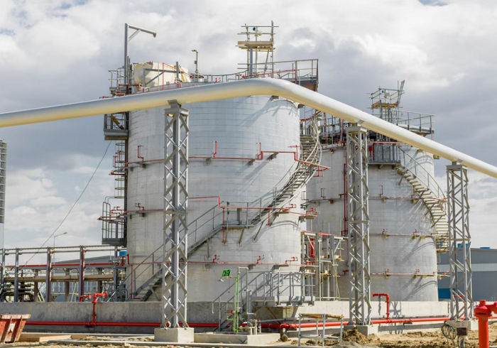 Источник фото: freepik.com 