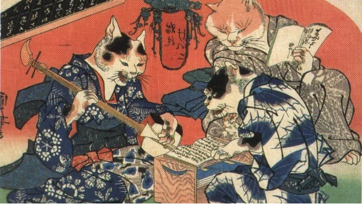 Изображение нэкоматов