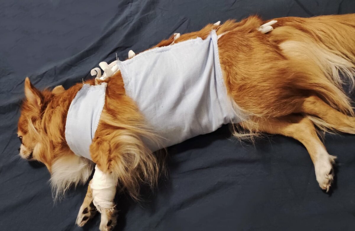 Марта два дня назад 