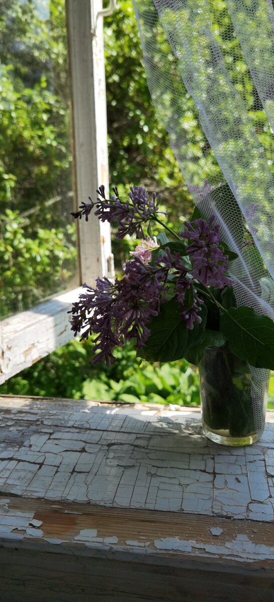 Фото автора. Хорошо в деревне летом. НО! История происходила в большом городе.