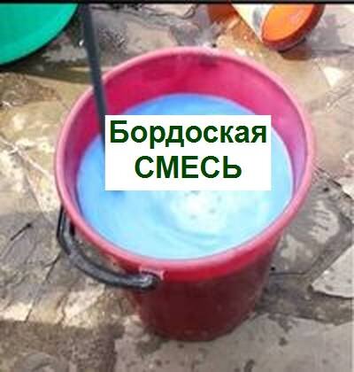 бордоская смесь, изготовление