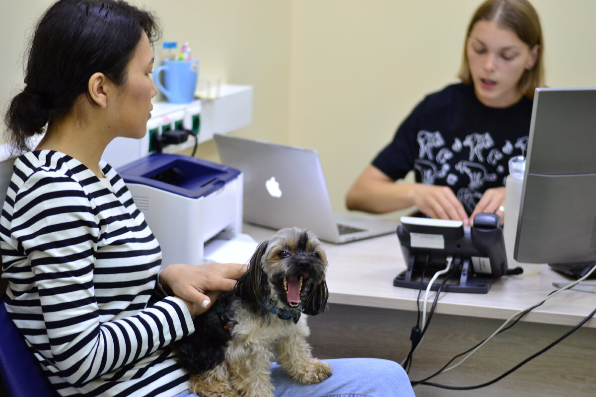 Консультация зоопсихлога