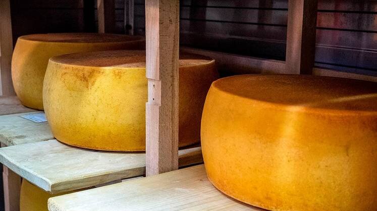    Истринская сыроварня