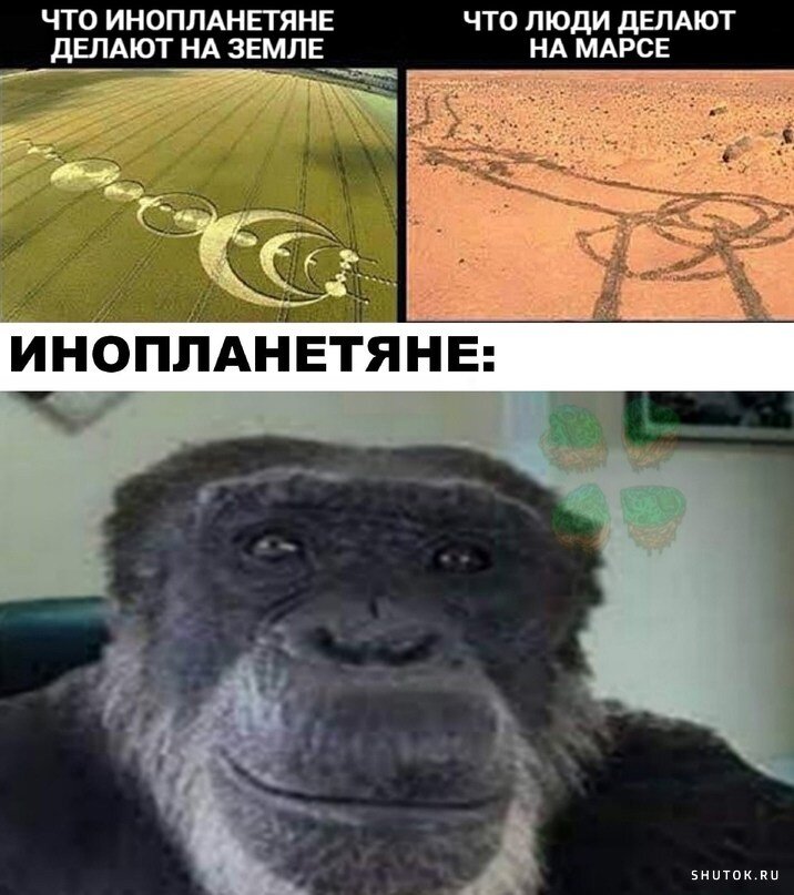 Какой самый новый мем